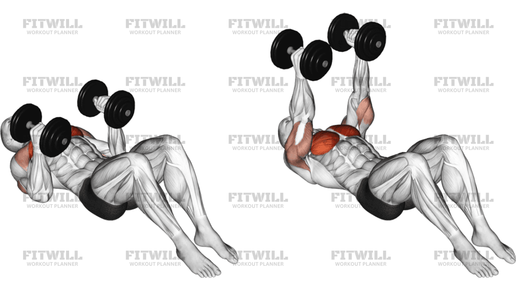 What Muscles Do Dumbbell Exercises Work?