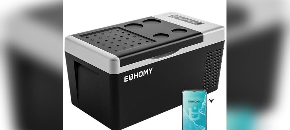 Best 12V Cooler For Car