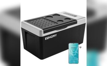 Best 12V Cooler For Car