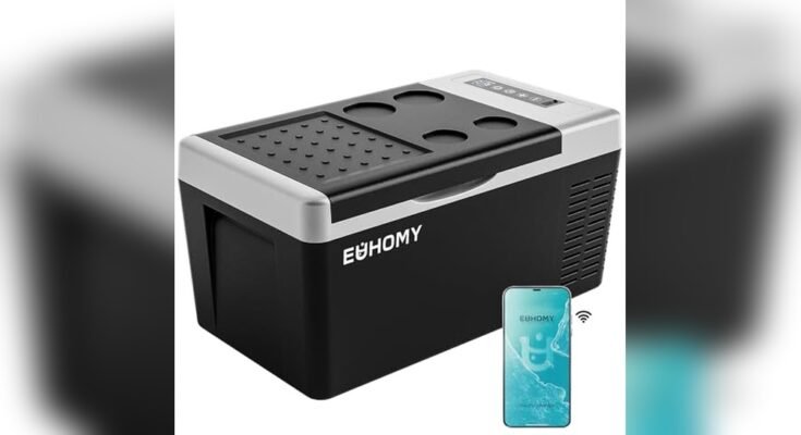 Best 12V Cooler For Car