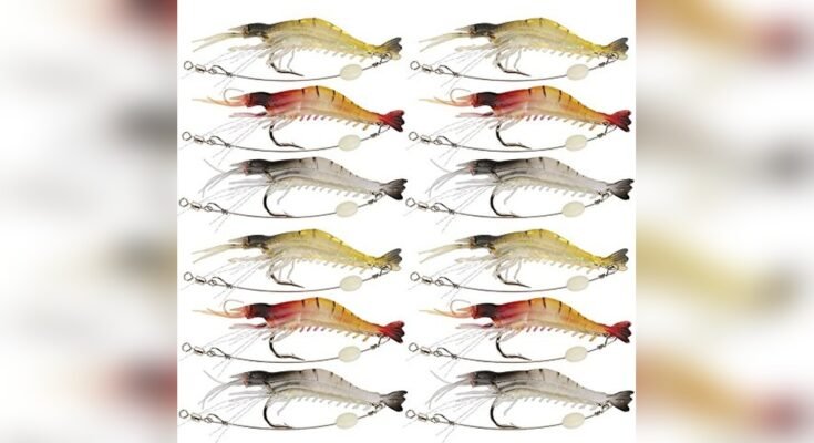 Best Artificial Bait For Saltwater Fishing