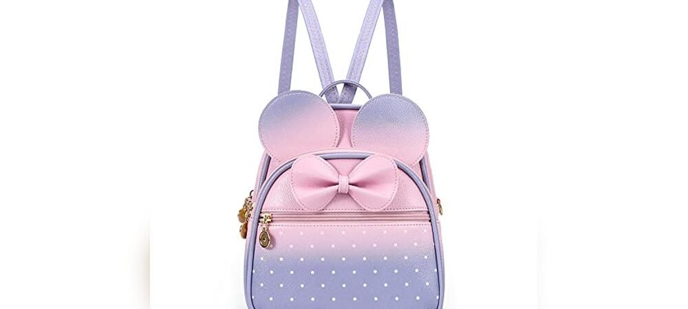 Best Backpack For Disney