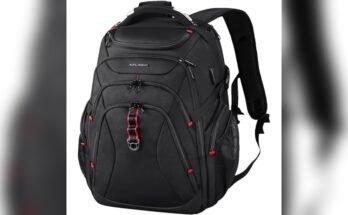 Best Backpack For It Professional