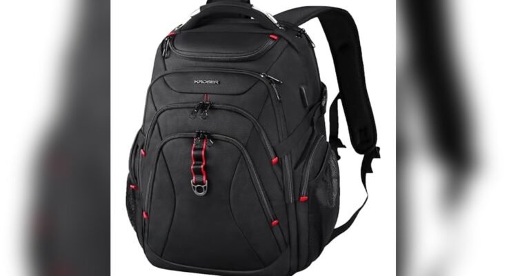 Best Backpack For It Professional