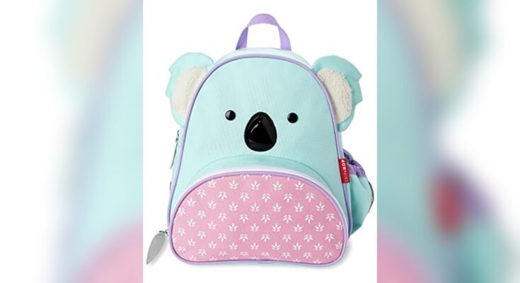 Best Backpack For Preschool