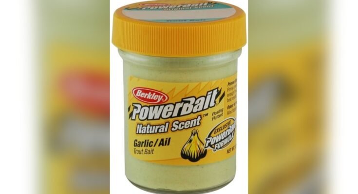 Best Bait For Ice Fishing Trout