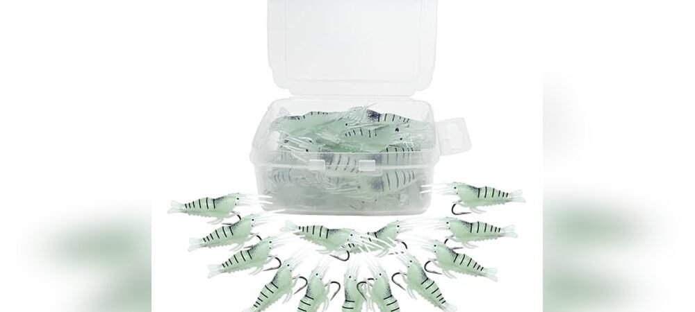 Best Bait For Night Fishing Bass