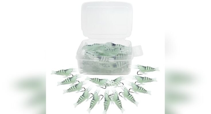 Best Bait For Night Fishing Bass