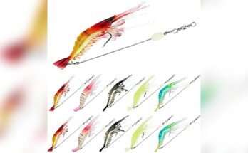 Best Bait For Ocean Fishing