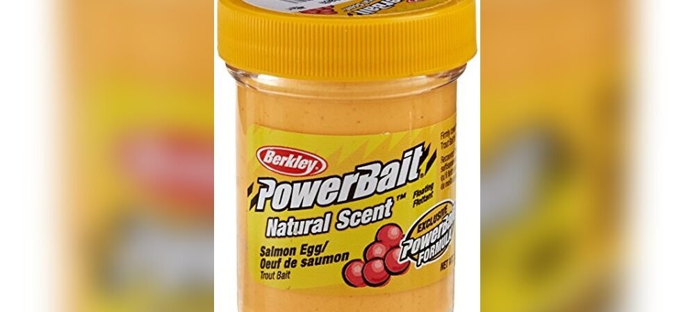 Best Bait For Salmon Fishing