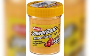 Best Bait For Salmon Fishing