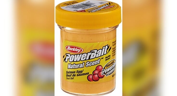 Best Bait For Salmon Fishing