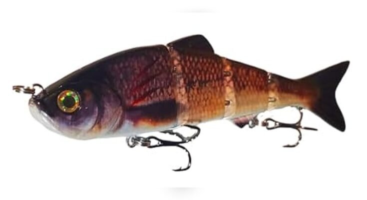 Best Bait For Summer Bass Fishing