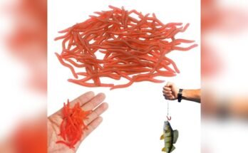 Best Bait For Tilapia Fishing