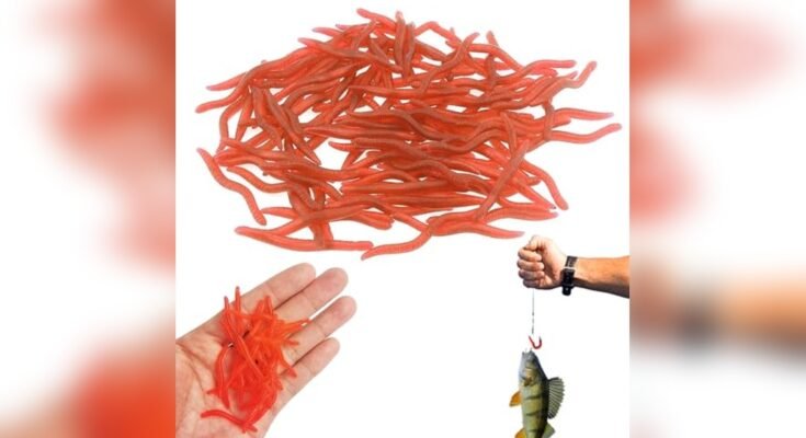 Best Bait For Tilapia Fishing