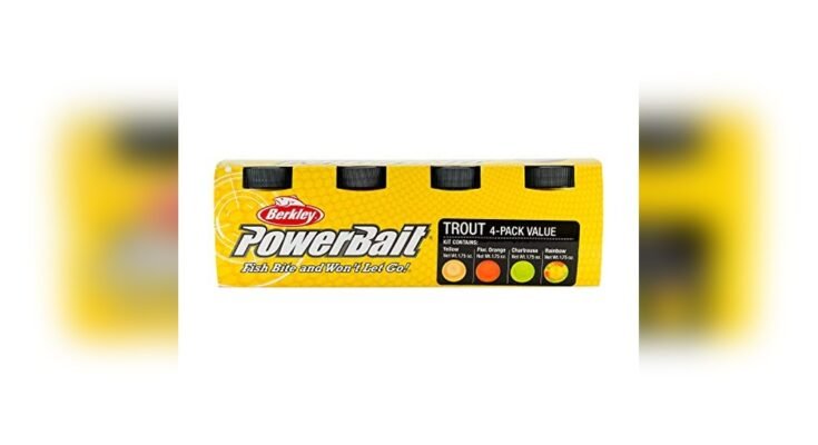 Best Baits For Trout Fishing