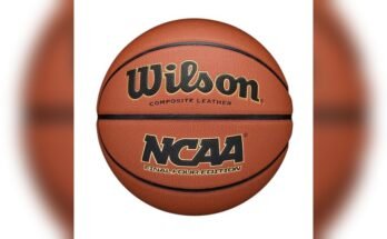 Best Basketballs For Outdoor