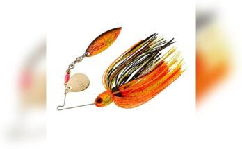 Best Bass Lures For Spring Fishing