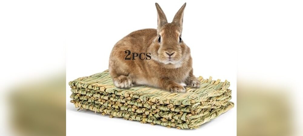 Best Bedding For Outdoor Rabbits