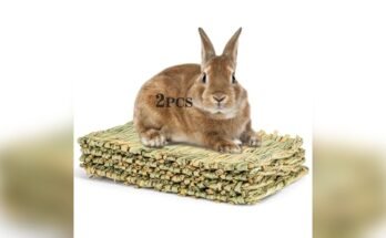Best Bedding For Outdoor Rabbits