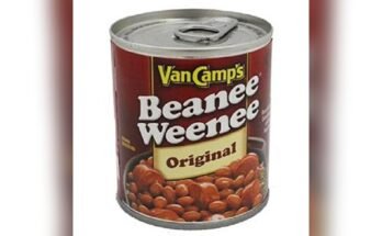 Best Canned Food For Camping