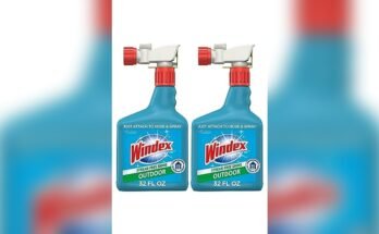 Best Cleaner For Outdoor Windows