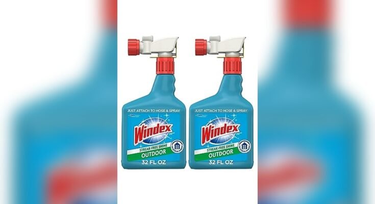 Best Cleaner For Outdoor Windows