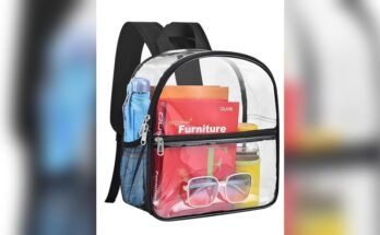 Best Clear Backpack For Concerts