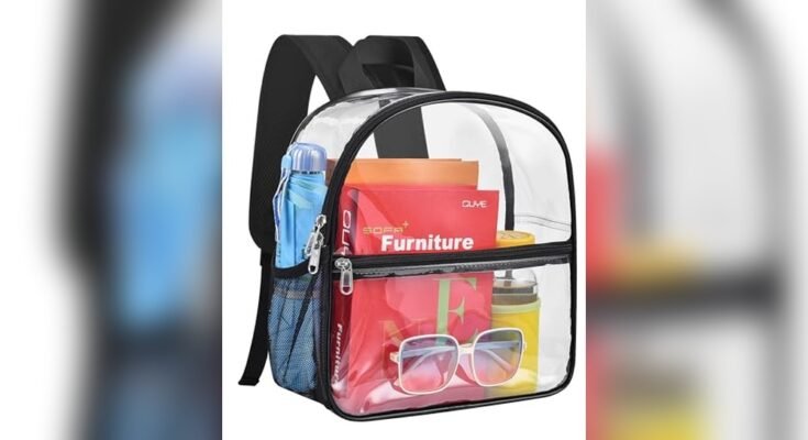 Best Clear Backpack For Concerts
