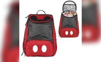 Best Cooler Backpack For Disney