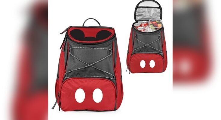Best Cooler Backpack For Disney