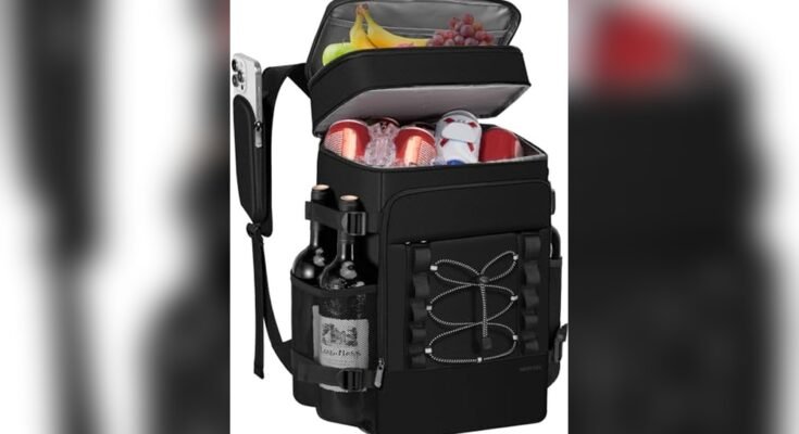Best Cooler Bag For Travel