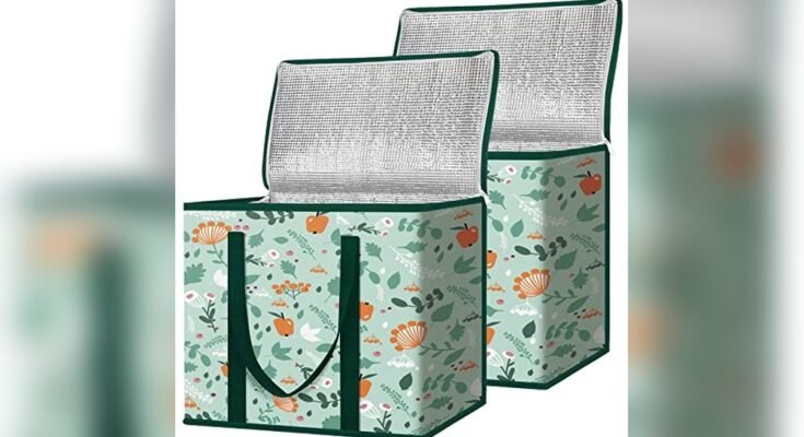 Best Cooler For Grocery Shopping