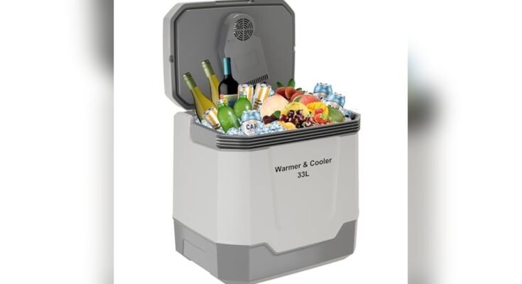 Best Cooler For Truckers