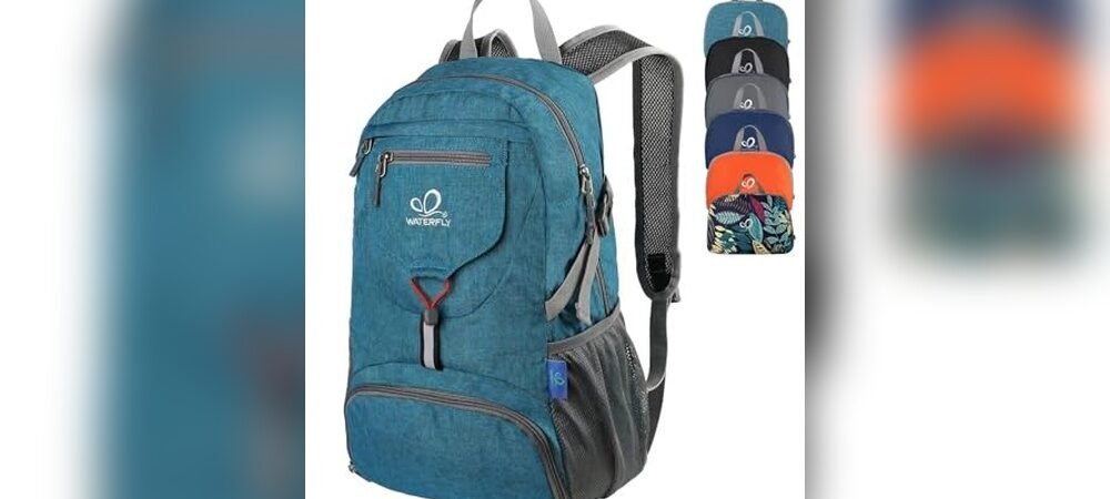 Best Day Backpack For Travel