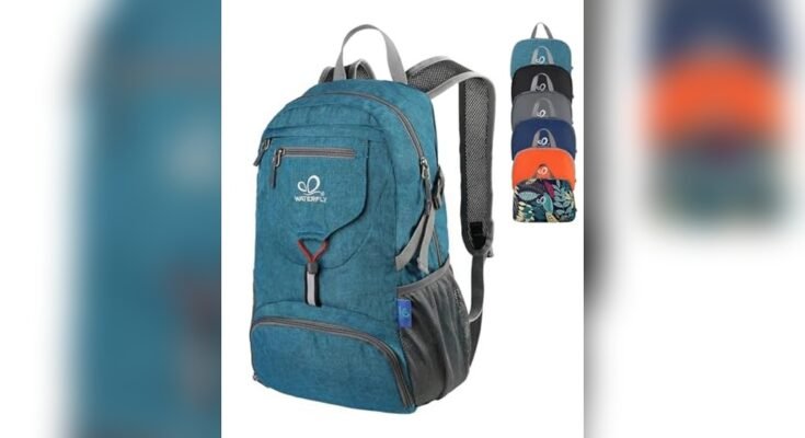 Best Day Backpack For Travel