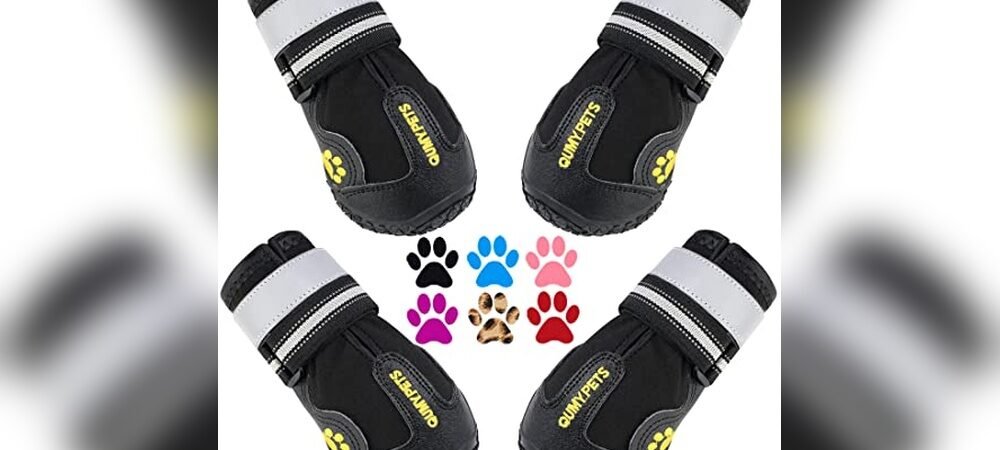 Best Dog Booties For Hiking