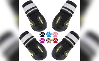 Best Dog Booties For Hiking