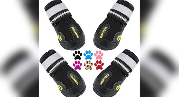 Best Dog Booties For Hiking