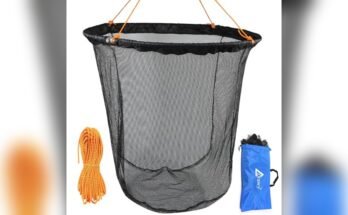 Best Drop Net For Pier Fishing