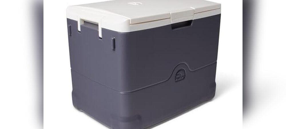 Best Electric Cooler For Camping
