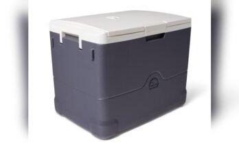 Best Electric Cooler For Camping