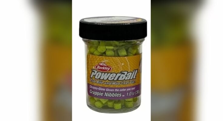 Best Fishing Bait For Freshwater