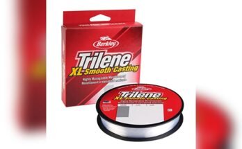 Best Fishing Line For Beginners