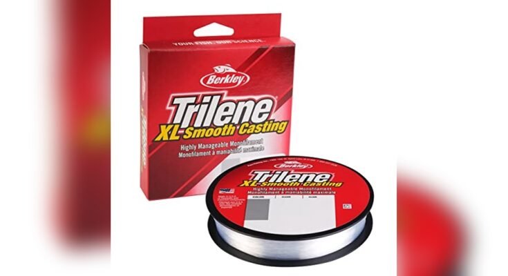 Best Fishing Line For Beginners