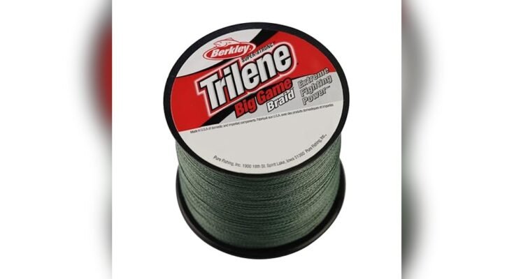 Best Fishing Line For Catfish