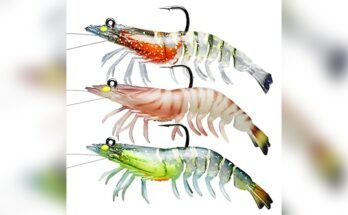 Best Fishing Lures For Redfish