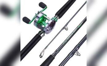 Best Fishing Pole For Catfish