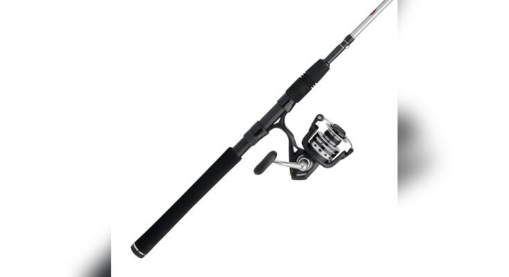 Best Fishing Pole For Surf Fishing