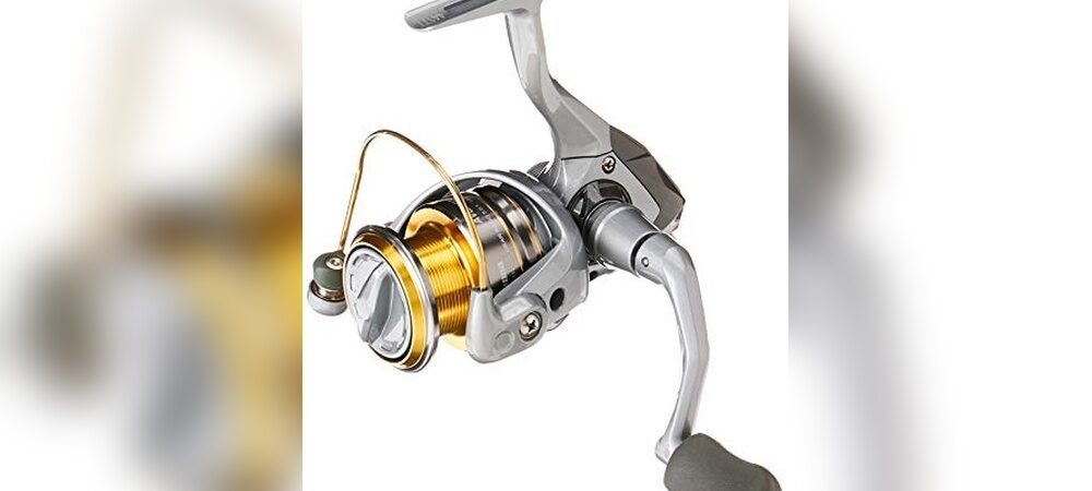 Best Fishing Reels For Trout